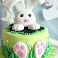 ÖZEL TASARIM TAVŞAN PASTA